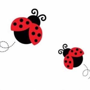 Meet your Posher, Ely